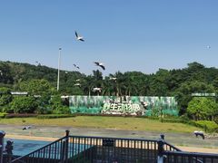 -深圳野生动物园
