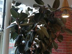 -惠友大虾(太原北街店)