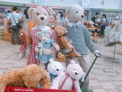 -济州岛泰迪熊博物馆