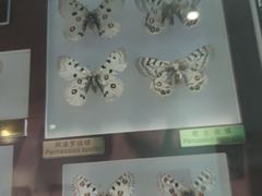 -上海昆虫博物馆
