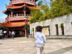 -神光山国家森林公园