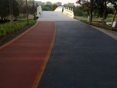 -大兴滨河森林公园