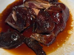 -三强鸽子(中原路店)