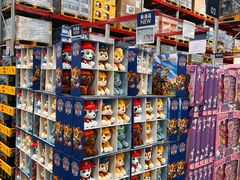 -山姆会员商店(上海浦东店)