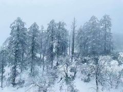 -瓦屋山景区