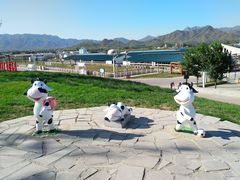 -君乐宝优致牧场