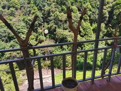 -大余丫山旅游度假区