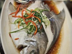 -吴记富苑(朝阳店)