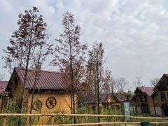 -青龙山国家森林公园