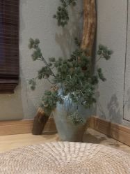 -香秀空间科技抗衰·美容中心