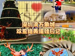 -深圳湾万象城(南山店)