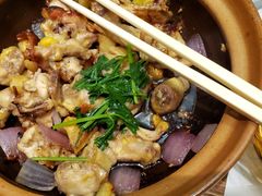 -稻香酒家·34年老字号·港式粤菜(侨光店)