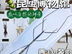 -上海昆虫博物馆