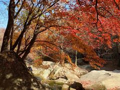 -本溪老边沟风景区