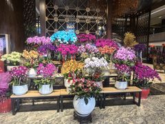 -水中仙东雅国际酒店(丹阳店)