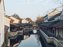 -鲁镇