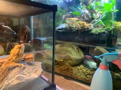 -酷嗒动物文化乐园(cutezoo西溪乐天城店)