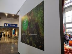 -宜家家居(四元桥商场店)
