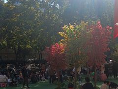 -西北轻工批发市场
