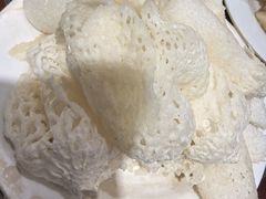 -菌之家·专业纯野生菌火锅·特色炒菌