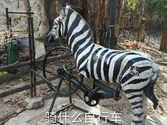 -清迈夜间动物园