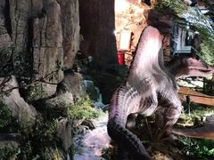 -陕西自然博物馆