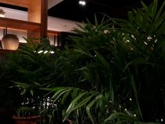 -严厨老坛酸菜鱼(吴江万宝店)
