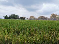 -中国天府农业博览园