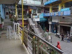 -猫咪博物馆(顶澳仔猫街店)