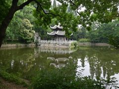 -习家池