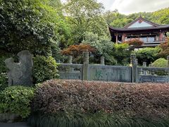 -十八棵（老龙井）御茶园(老龙井店)