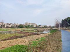 -两河城市森林公园