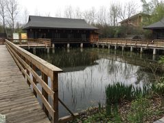 -溱湖国家湿地公园