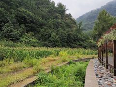 -九龙潭景区