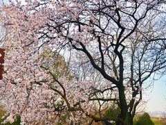 -北京西山国家森林公园