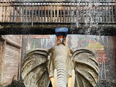 -呀路古热带植物园