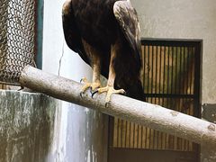 -合肥野生动物园