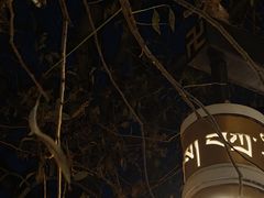 -古树酸奶(八廓南街店)