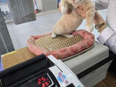 -弋车人洗美·维修·保养(三林店)