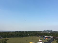 -春花秋色城市公园