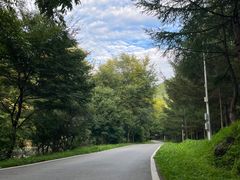 -参仙谷生态旅游度假区