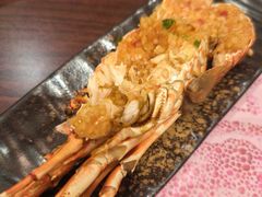 -黑松白鹿(金融街店)