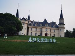 -北京张裕爱斐堡酒庄