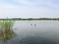 -绿堤公园
