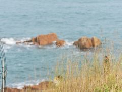 -小麦岛公园
