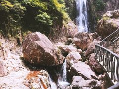 -龙湾潭国家森林公园