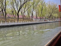 -皇家御河游(紫御湾码头)