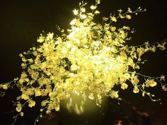-桂语山房(满觉陇店)