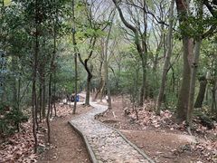 -上海佘山国家森林公园天马山园