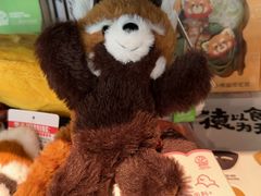 -LOOOAD COFFEE进度条(D9街区店)